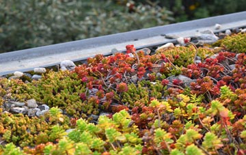 the cost of Akeld green roof installation