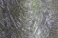 Akeld fibreglass roof work